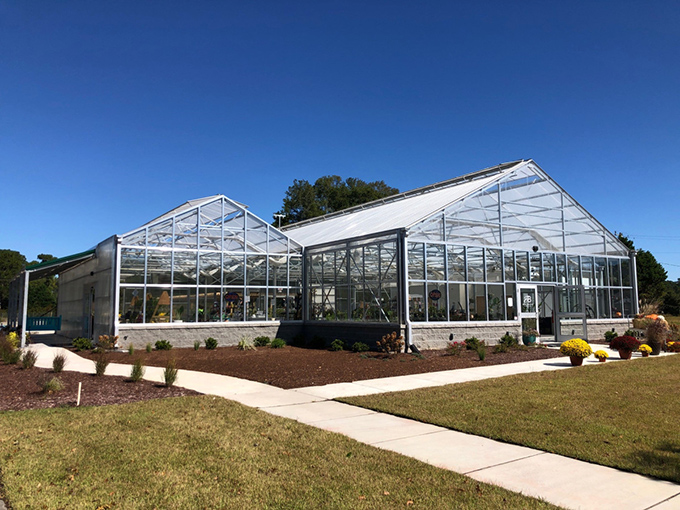 大棚建筑农蓄棚